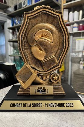 Image de Trophée de boxe