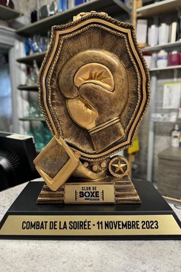 Image sur Trophée de boxe